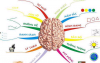 BẢN ĐỒ NÃO BỘ