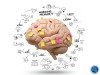 LEAN YOUR BRAIN