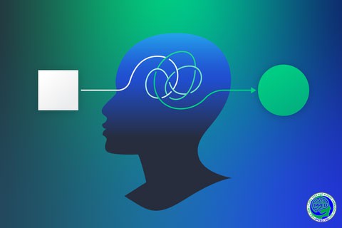 THIÊN KIẾN NHẬN THỨC (COGNITIVE BIASES): NHỮNG "LỖI" HỆ THỐNG TRONG TƯ DUY ẢNH HƯỞNG ĐẾN HÀNH VI HÀNG NGÀY
